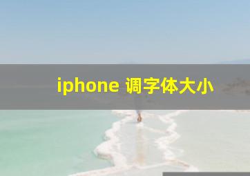 iphone 调字体大小